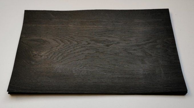 Chêne des marais 49 x 29 cm L27