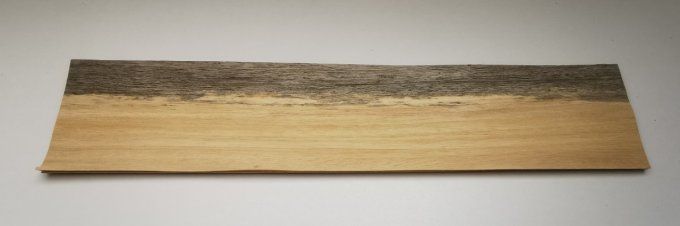 Koto bleuté 67 x 14 cm L211