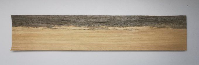 Koto bleuté 67 x 14 cm L211