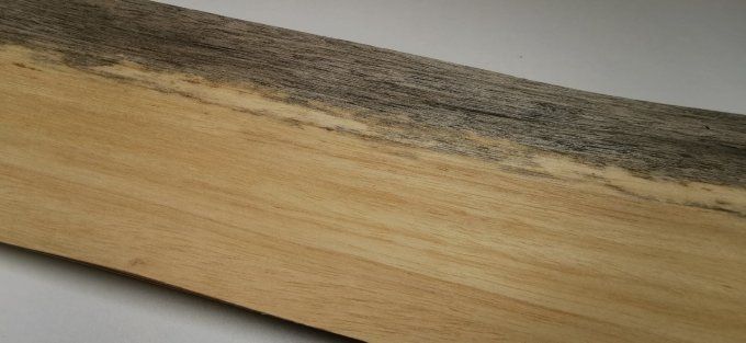 Koto bleuté 67 x 14 cm L211