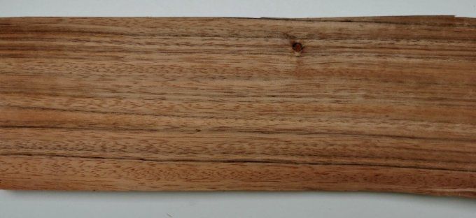 Lot 20x Paldao 36 x 12 cm 0.40 mm L29