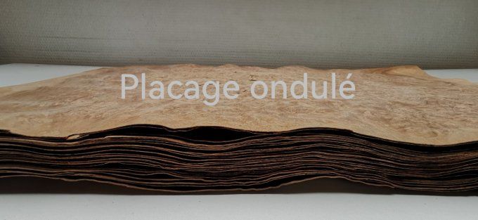 Loupe de Noyer ( placages ondulés) 50 x 28 cm L32