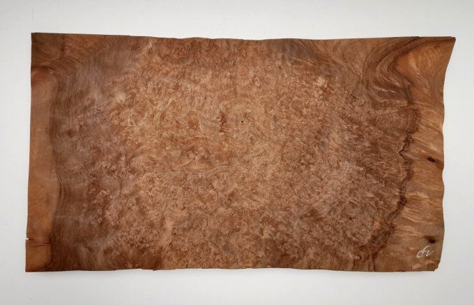 Loupe de Noyer ( placages ondulés) 50 x 28 cm L32