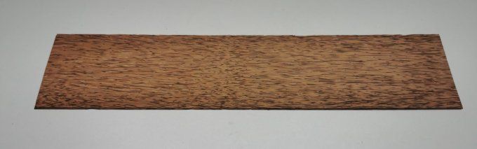 Palmier 55 x 12 cm L43