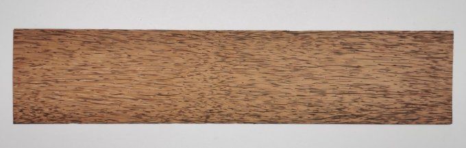 Palmier 55 x 12 cm L43