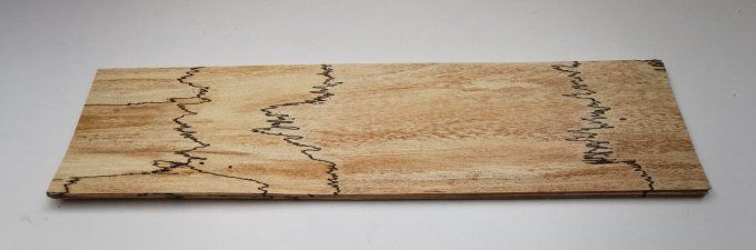Hêtre truffé 63 x 15 cm L35