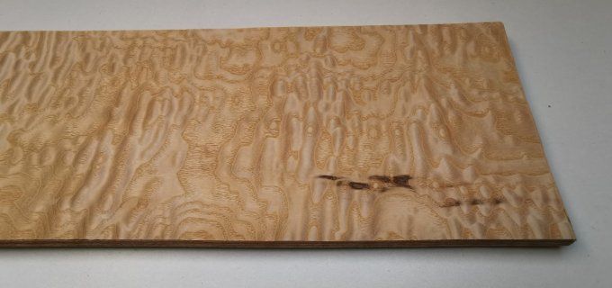 Frêne pommelé 75 x 17 cm  L247