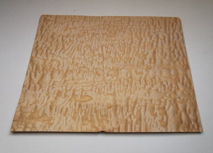 Frêne pommelé 42 x 35 cm L229