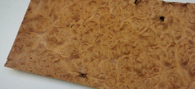 Lot 7x Loupe d'Amboine 25 x 14 cm L36