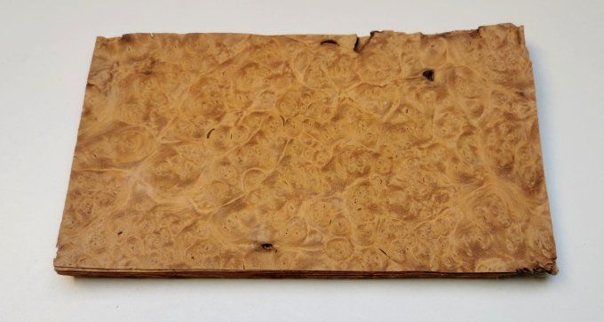 Lot 7x Loupe d'Amboine 25 x 14 cm L36