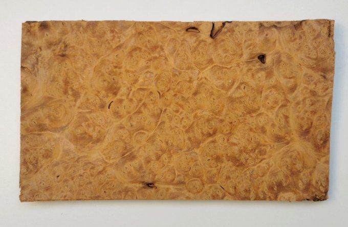 Lot 7x Loupe d'Amboine 25 x 14 cm L36