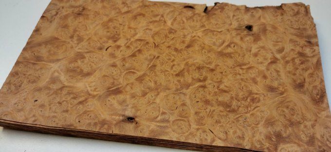 Lot 7x Loupe d'Amboine 25 x 14 cm L36