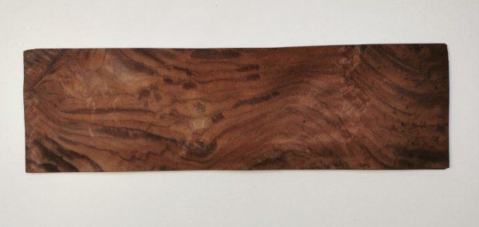 Lot 8x Loupe de Noyer 41 x 12 cm L98