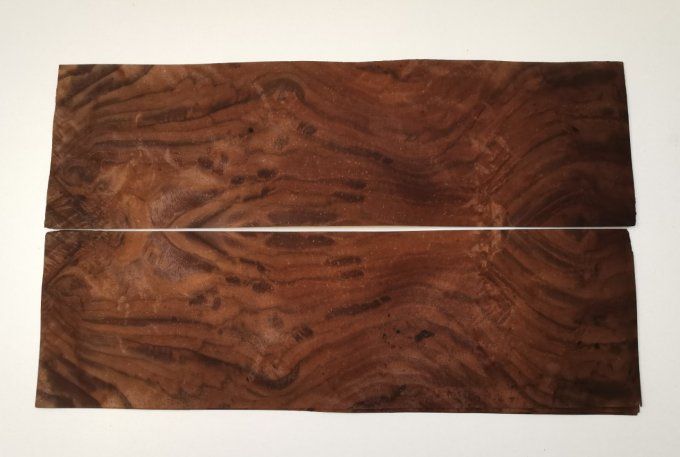 Lot 8x Loupe de Noyer 41 x 12 cm L98