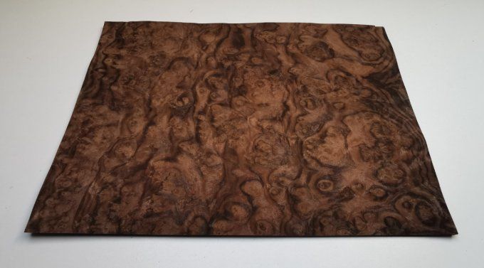 Loupe de Noyer 43 x 33 cm L34