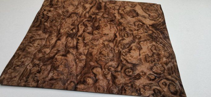 Loupe de Noyer 43 x 33 cm L34