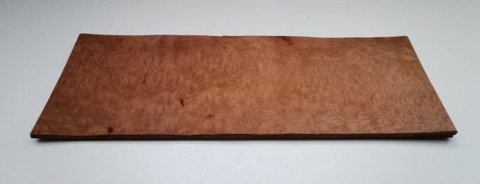 Loupe de Madrona 54 x 18 cm L66