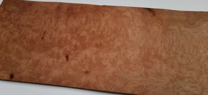 Loupe de Madrona 54 x 18 cm L66