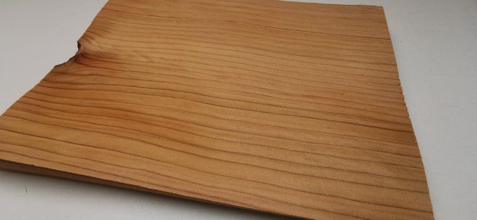 Cèdre du Liban 30 x 24 cm  L85