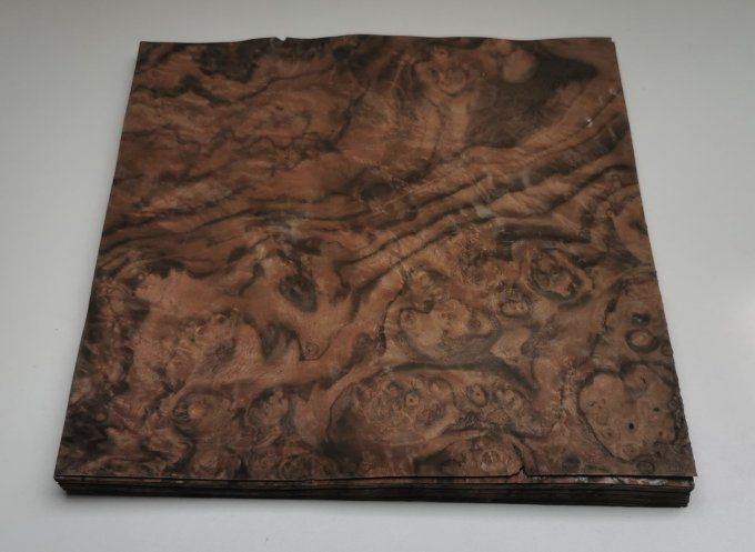Loupe de Noyer 28 x 29 cm L86