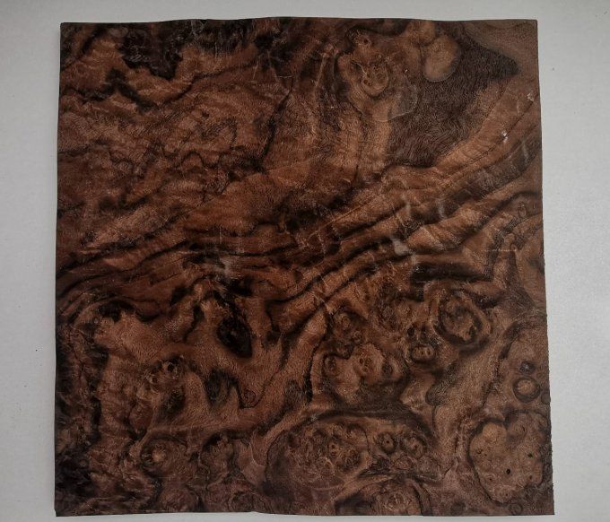 Loupe de Noyer 28 x 29 cm L86