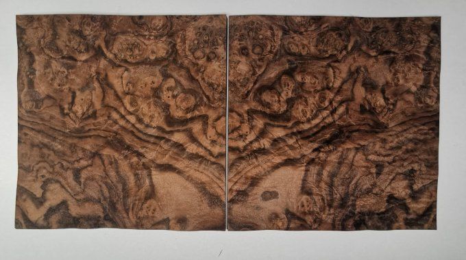 Loupe de Noyer 28 x 29 cm L86