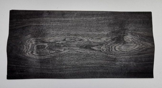 Chêne des marais 76 x 35 cm L116