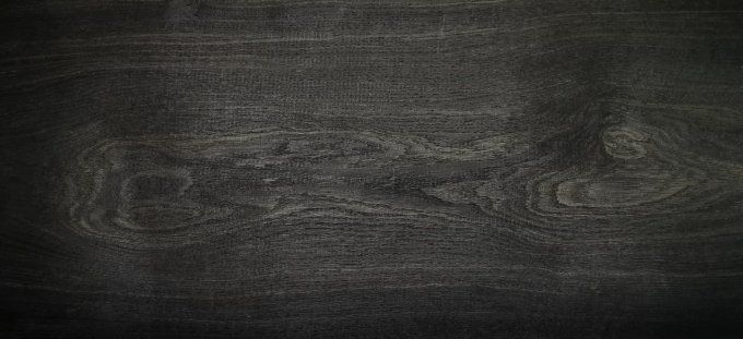 Chêne des marais 76 x 35 cm L116