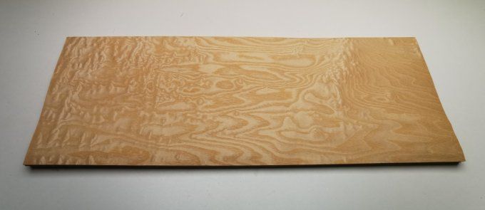 Frêne pommelé 72 x 27 cm  L247