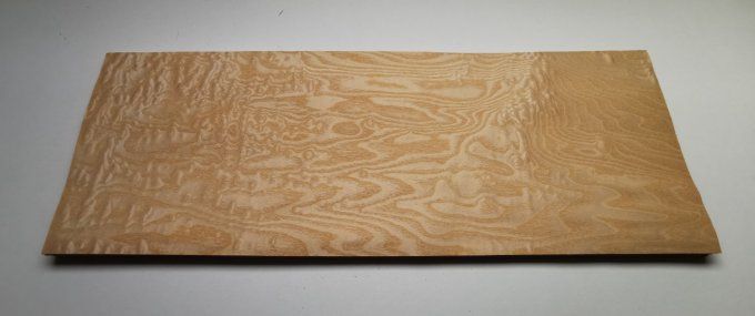 Frêne pommelé 72 x 27 cm  L247