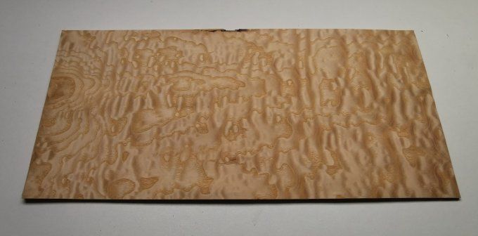 Frêne pommelé 44 x 21 cm L229