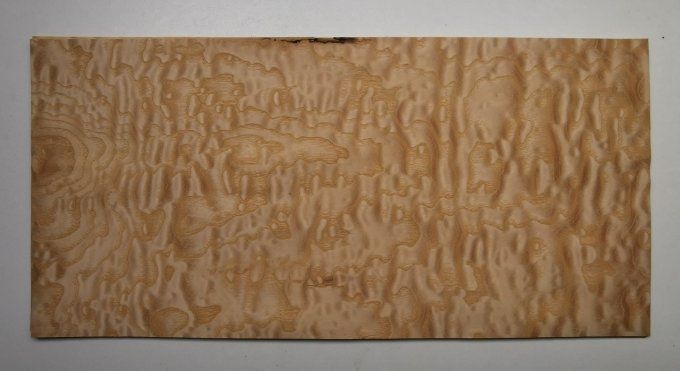Frêne pommelé 44 x 21 cm L229