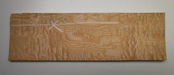 Frêne pommelé 55 x 12 cm L31