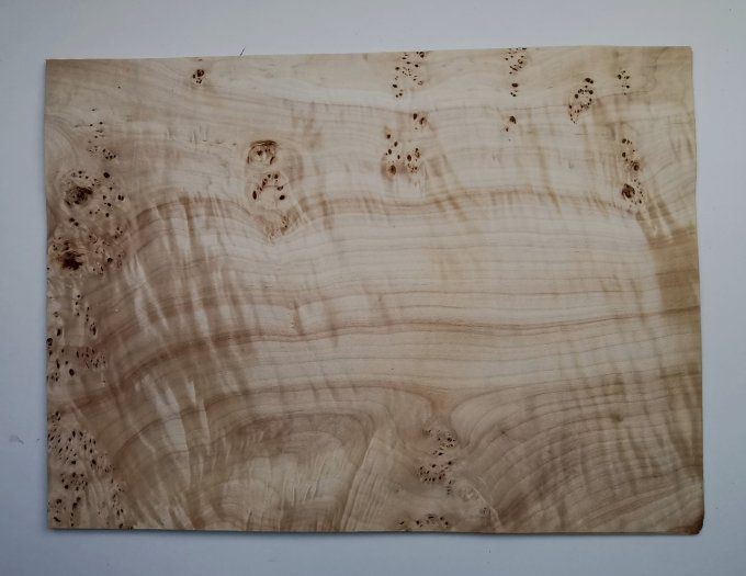 Peuplier 55 x 40 cm L114