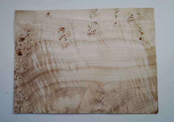 Peuplier 55 x 40 cm L114