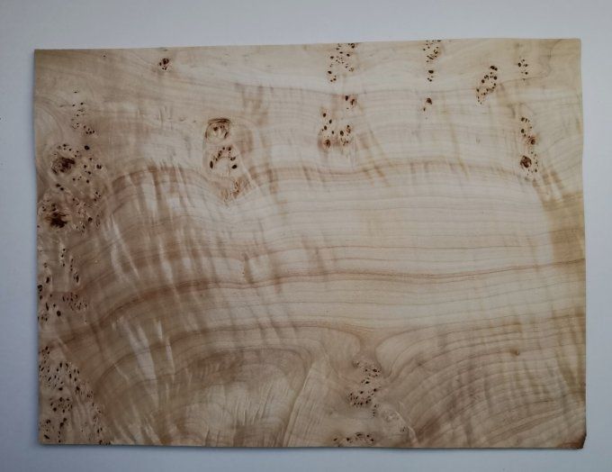 Peuplier 55 x 40 cm L114