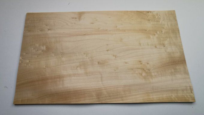 Peuplier 59 x 34 cm L28