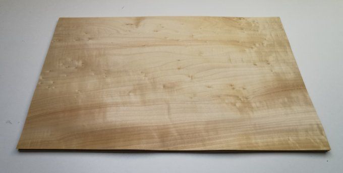 Peuplier 59 x 34 cm L28