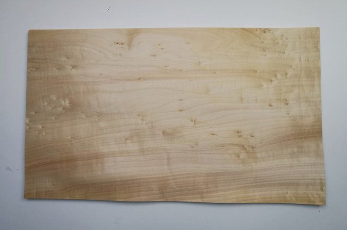 Peuplier 59 x 34 cm L28