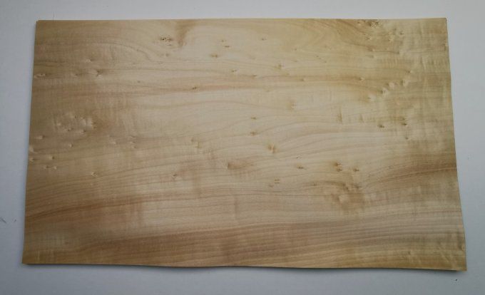 Peuplier 59 x 34 cm L28