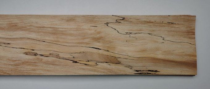Hêtre truffé 75 x 15 cm L35
