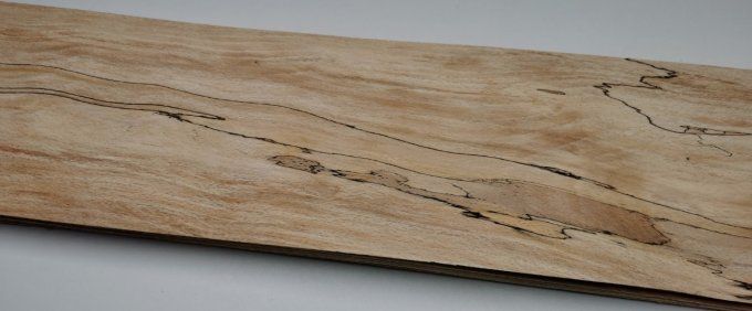Hêtre truffé 75 x 15 cm L35