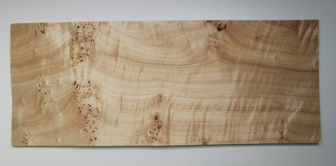 Peuplier 74 x 28 cm L45