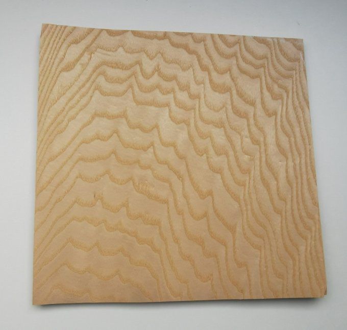 Frêne ramageux 30 x 30 cm L28