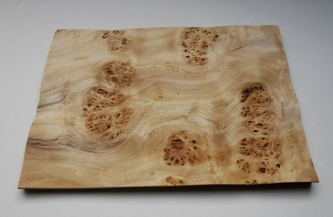 Loupe de Peuplier (ondulée) 33 x 23 cm L356