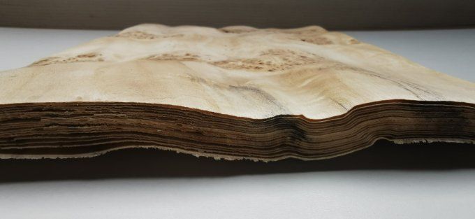 Loupe de Peuplier (ondulée) 33 x 23 cm L356