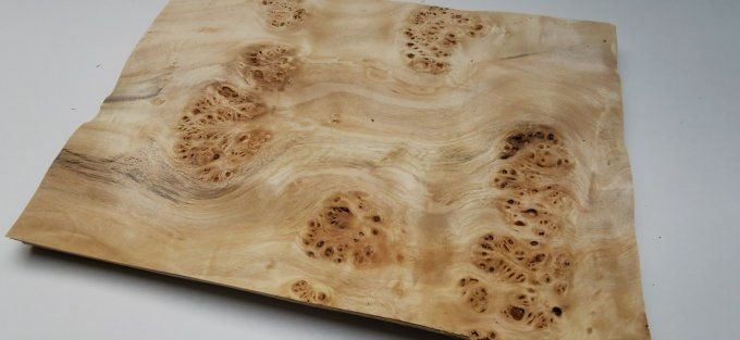 Loupe de Peuplier (ondulée) 33 x 23 cm L356