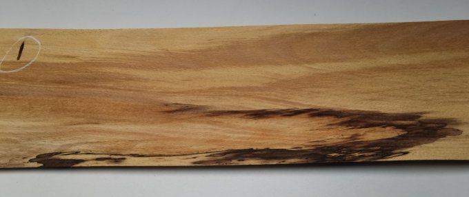 Hêtre truffé 74 x 15 cm L71