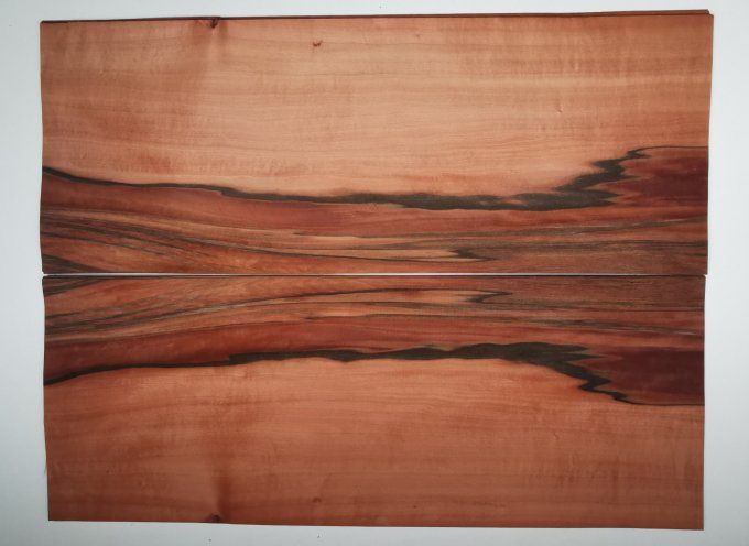 Tinéo 69 x 25 cm L153