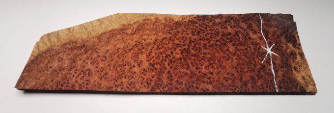 Loupe d'Amboine 48 x 16 cm L30 